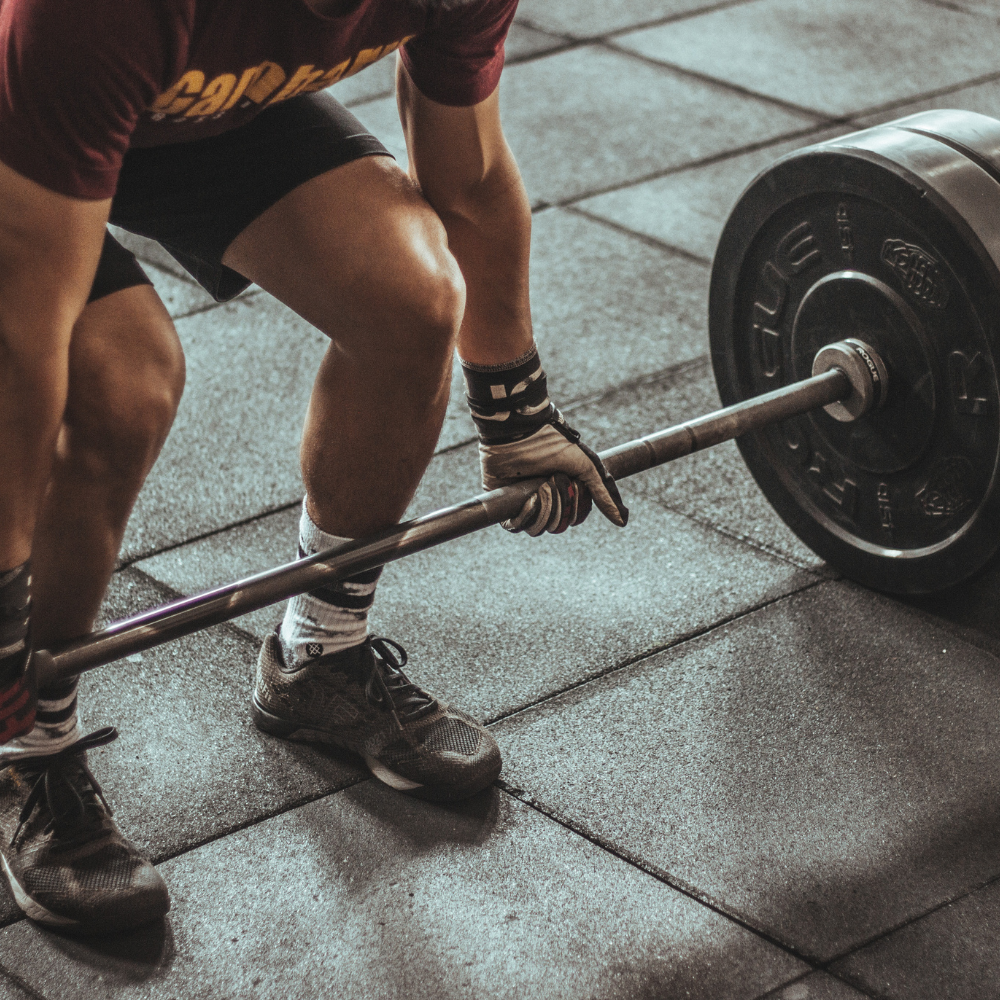  creatine for muscle growth