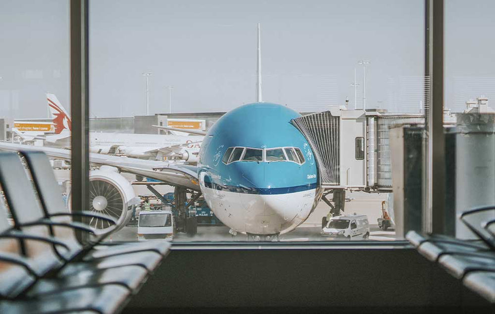 Bringing Protein Powder on a Plane Know the Rules INVIGOR8