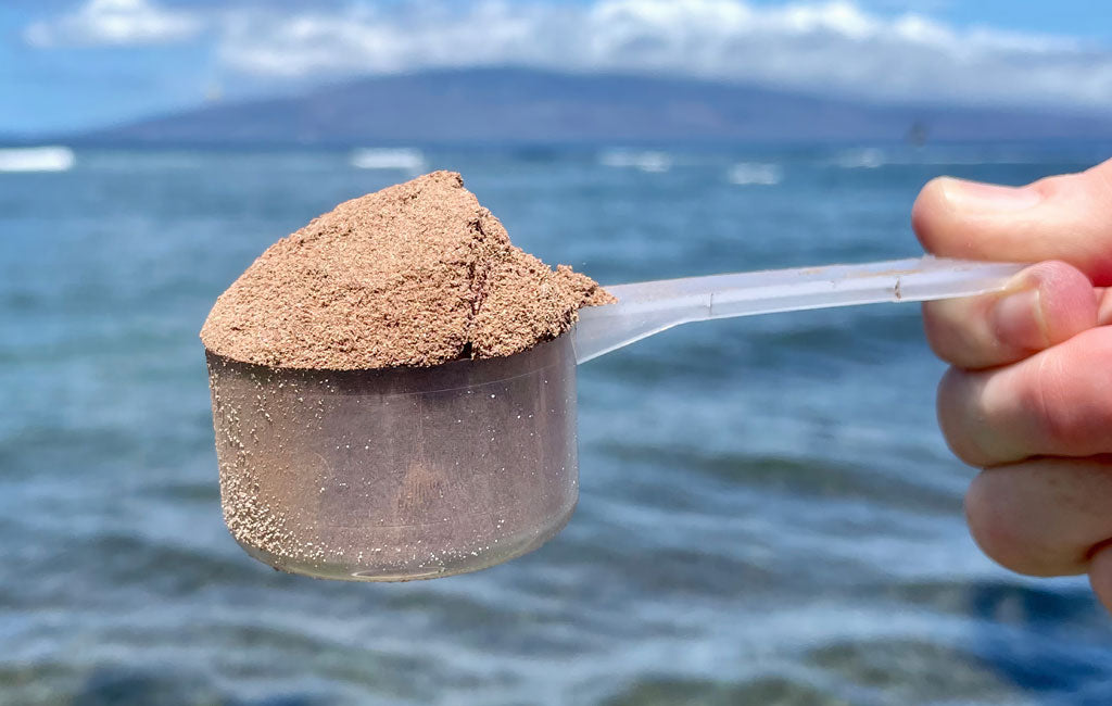  INVIGOR8 protein powder